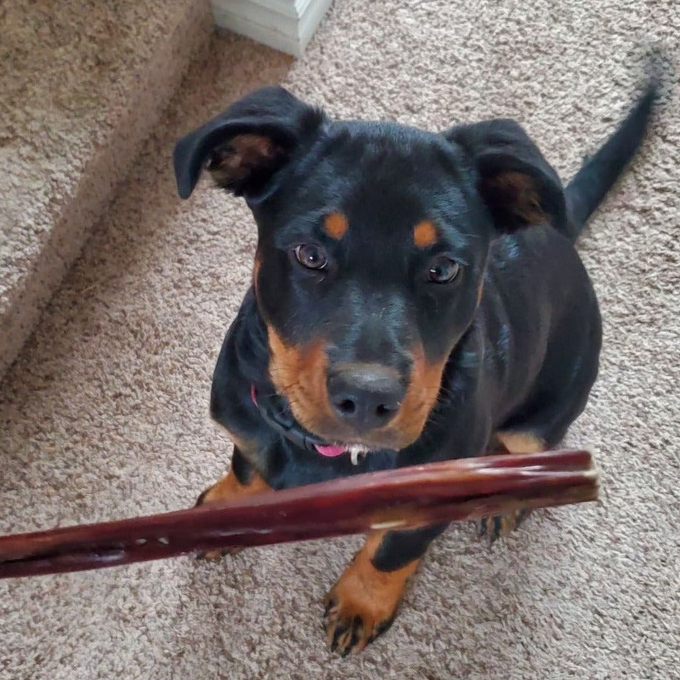 100% Beef | 12 Inch Beef Jerky Stick