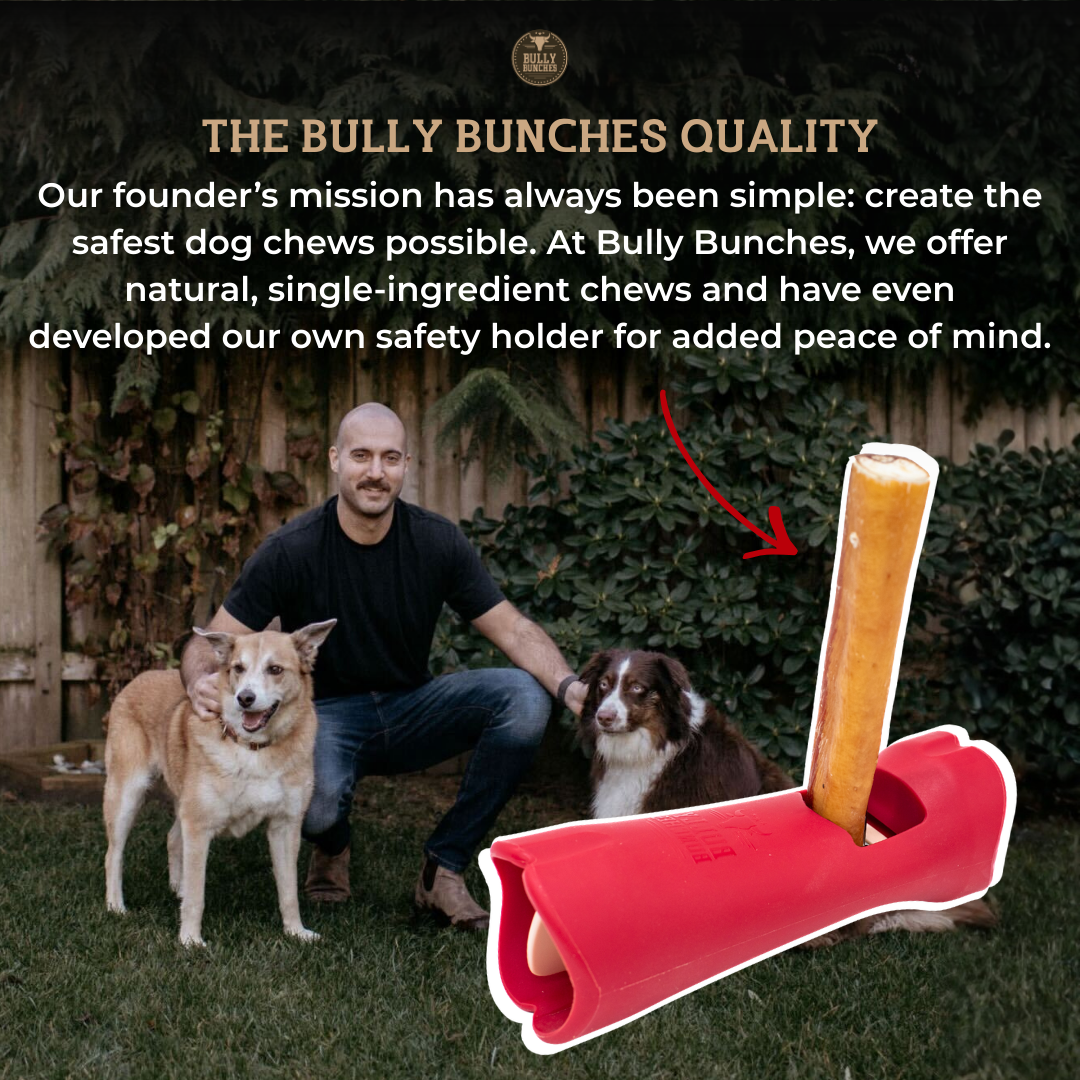 Essential Bully Stick Safety Holder