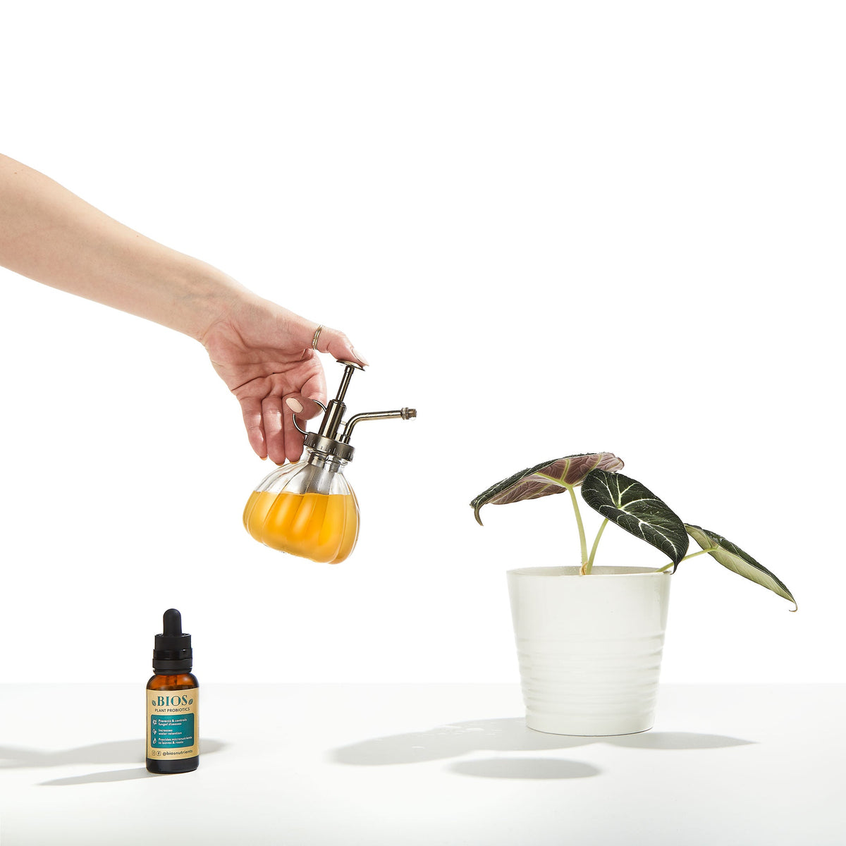 Bios Plant Probiotics