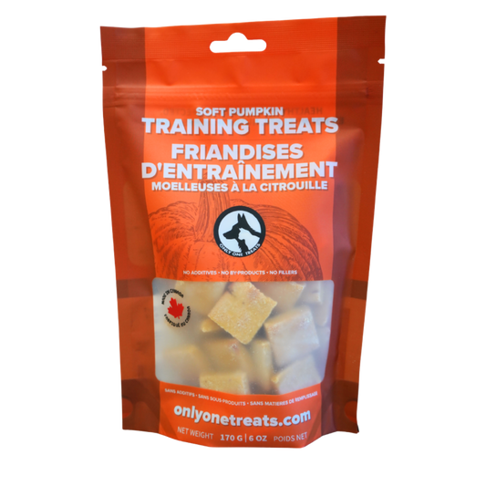 Soft Pumpkin Training Treats 170g