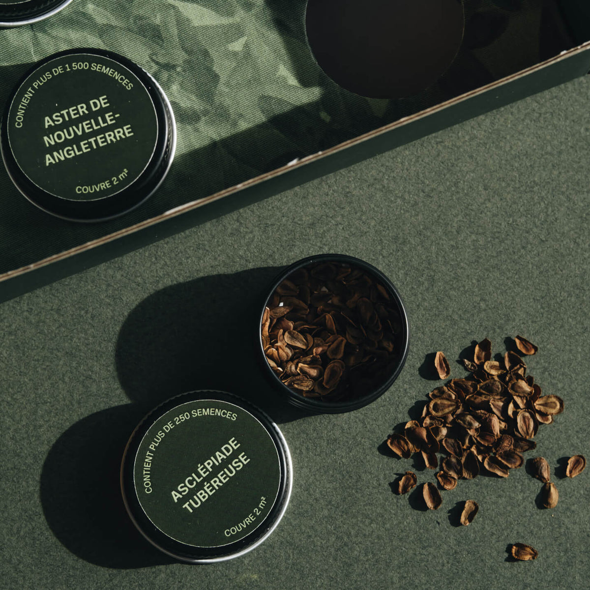 Seed Gift Set - Coffret de Semences