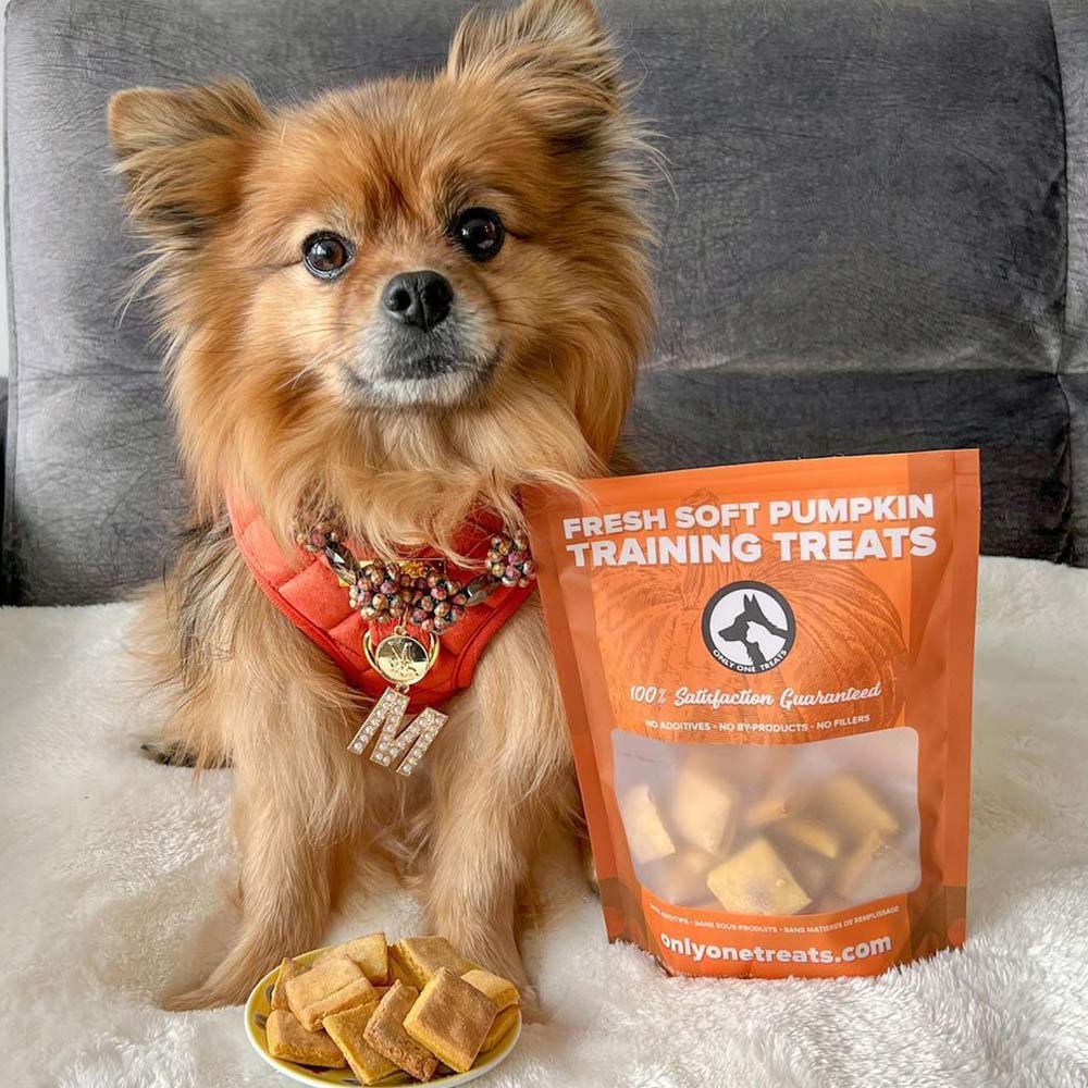 Soft Pumpkin Training Treats 170g