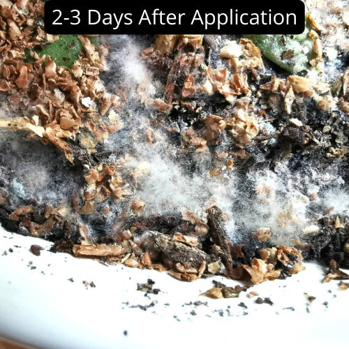 Bios Plant Fertilizer