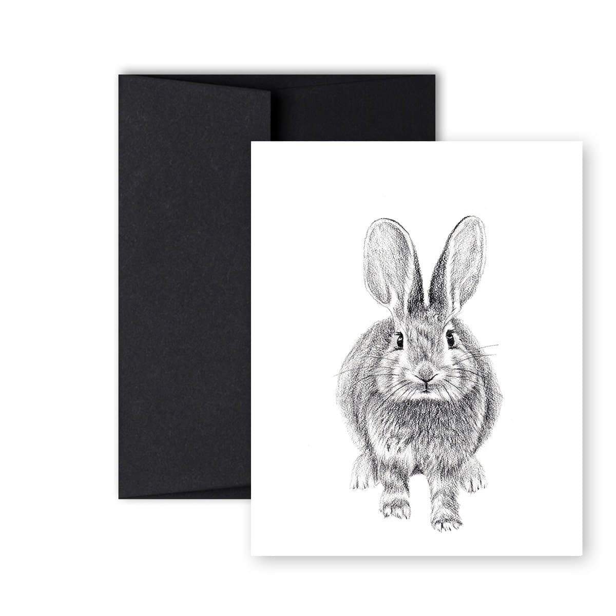 Rabbit Front and Back