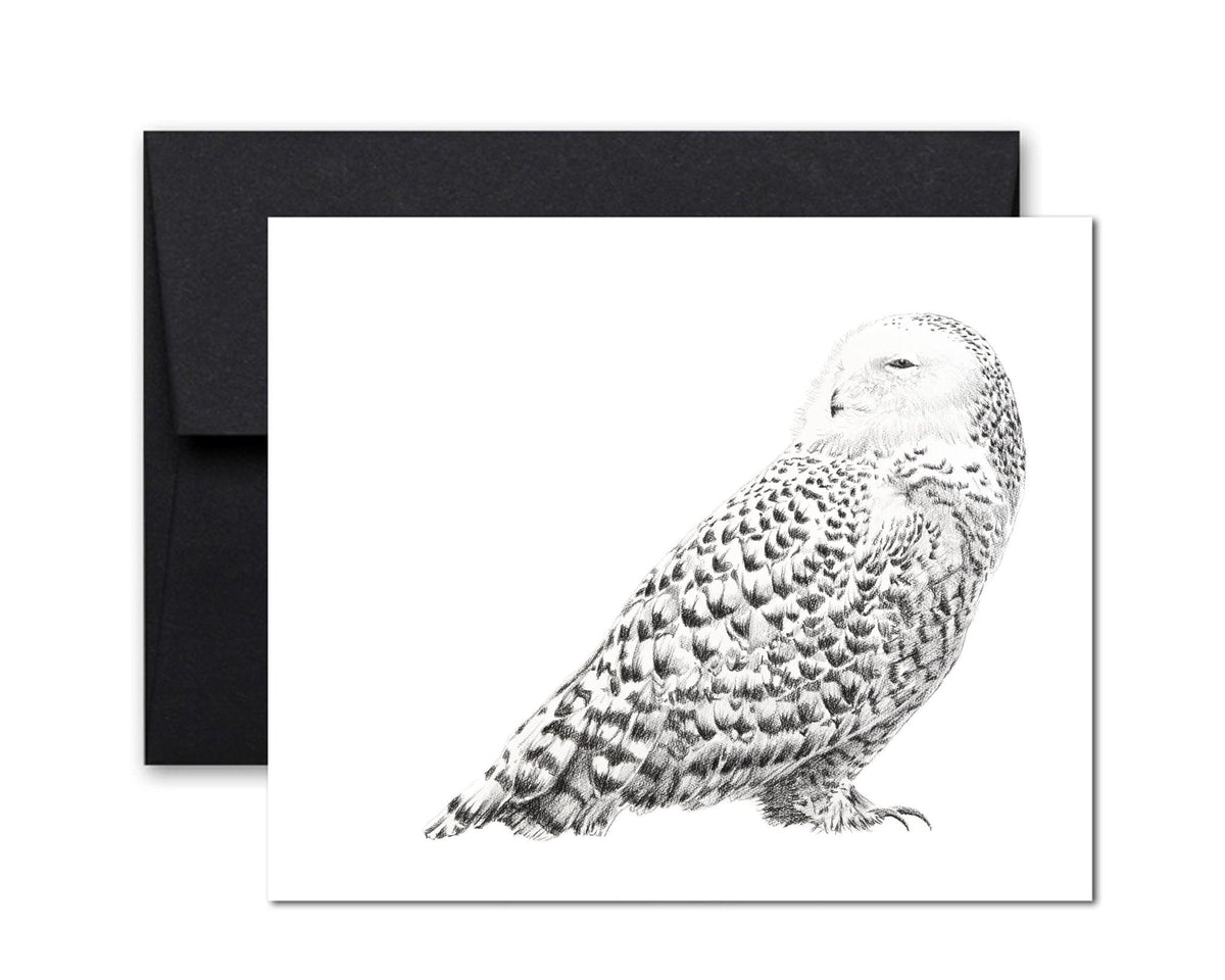 Snowy Owl