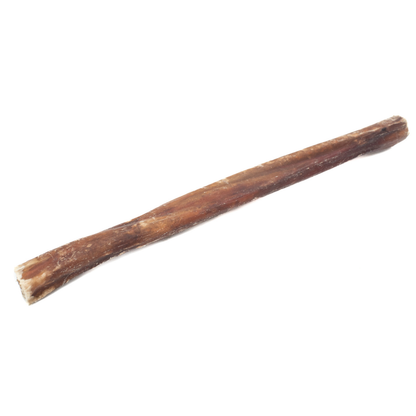 10-12 Inch Champion Chew
