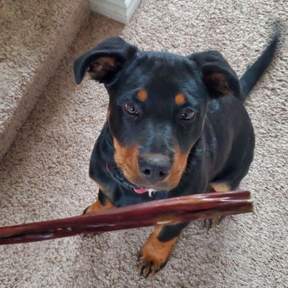 100% Beef | 12 Inch Beef Jerky Stick