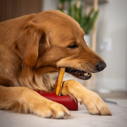 Essential Bully Stick Safety Holder