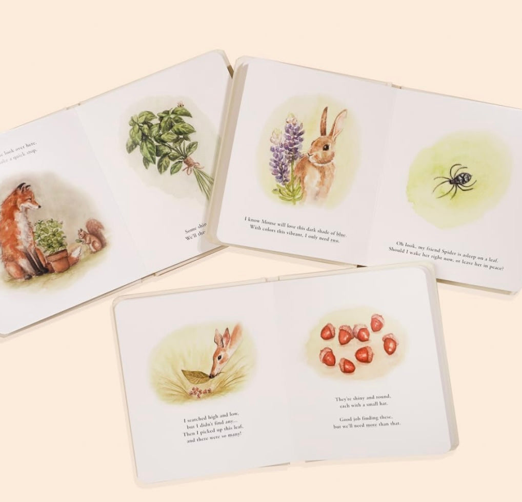 Our Little Adventures Book Set