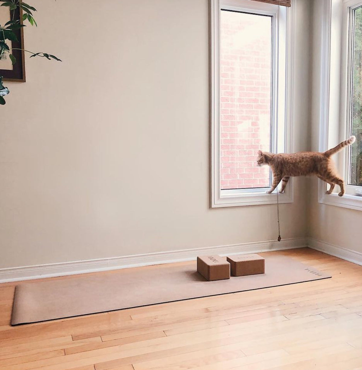 Standard Yoga Mat