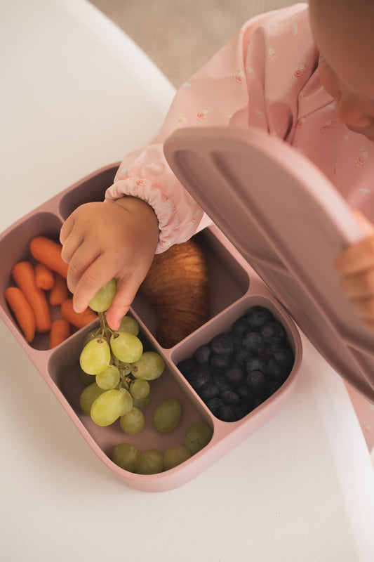 Silicone Bento Lunch Box | Boîte à lunch bento en silicone