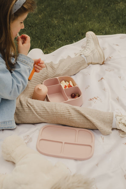 Silicone Bento Lunch Box | Boîte à lunch bento en silicone
