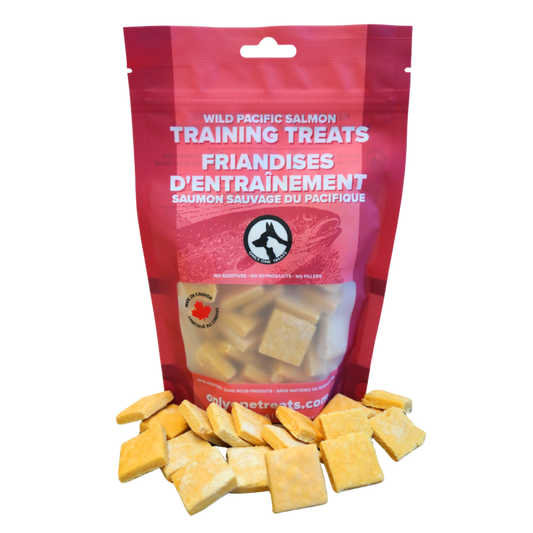 Pacific Salmon Training Treats 170g