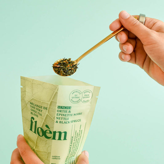 Loose Leaf Sencha Green Tea, Nettle & Black Spruce | Thé en vrac - Thé vert Sencha, Ortie & Épinette noire