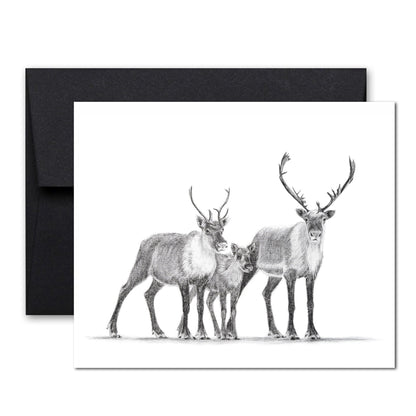 Caribou Family