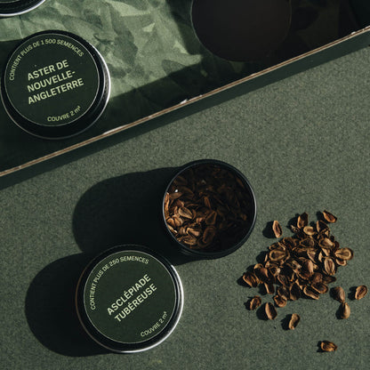 Seed Gift Set - Coffret de Semences
