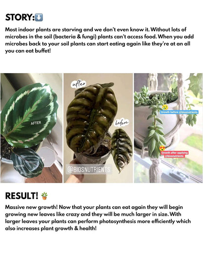 Bios Plant Fertilizer