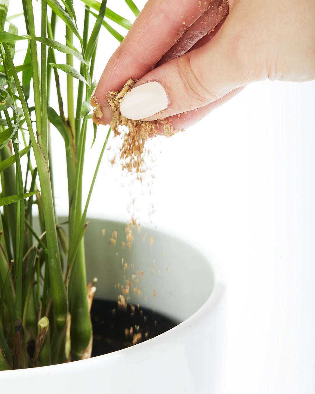 Bios Plant Fertilizer