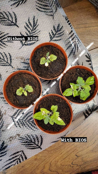 Bios Plant Fertilizer
