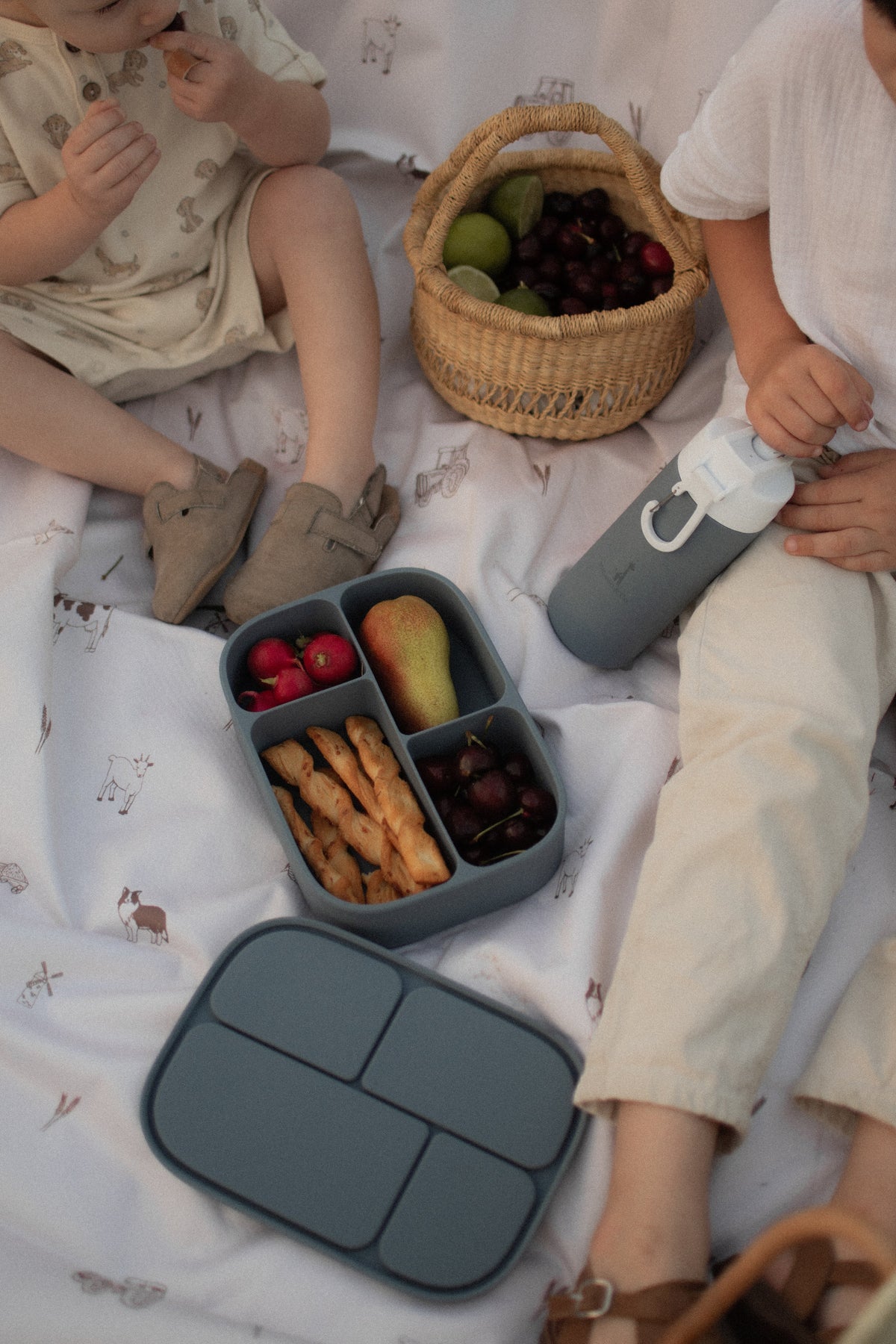 Silicone Bento Lunch Box | Boîte à lunch bento en silicone