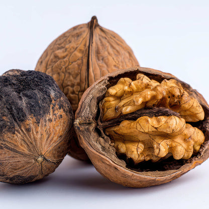 Black Walnut | Noyer noir