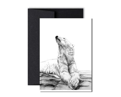 Polar Bear Sunbath