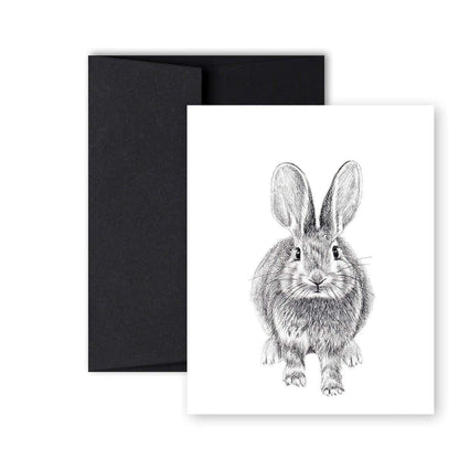 Rabbit Front and Back