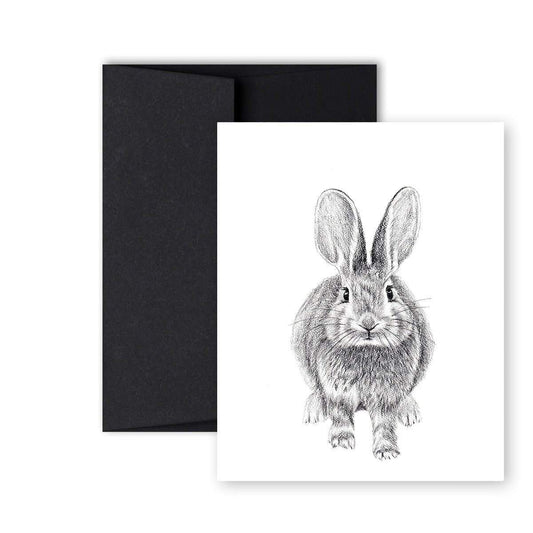 Rabbit Front and Back