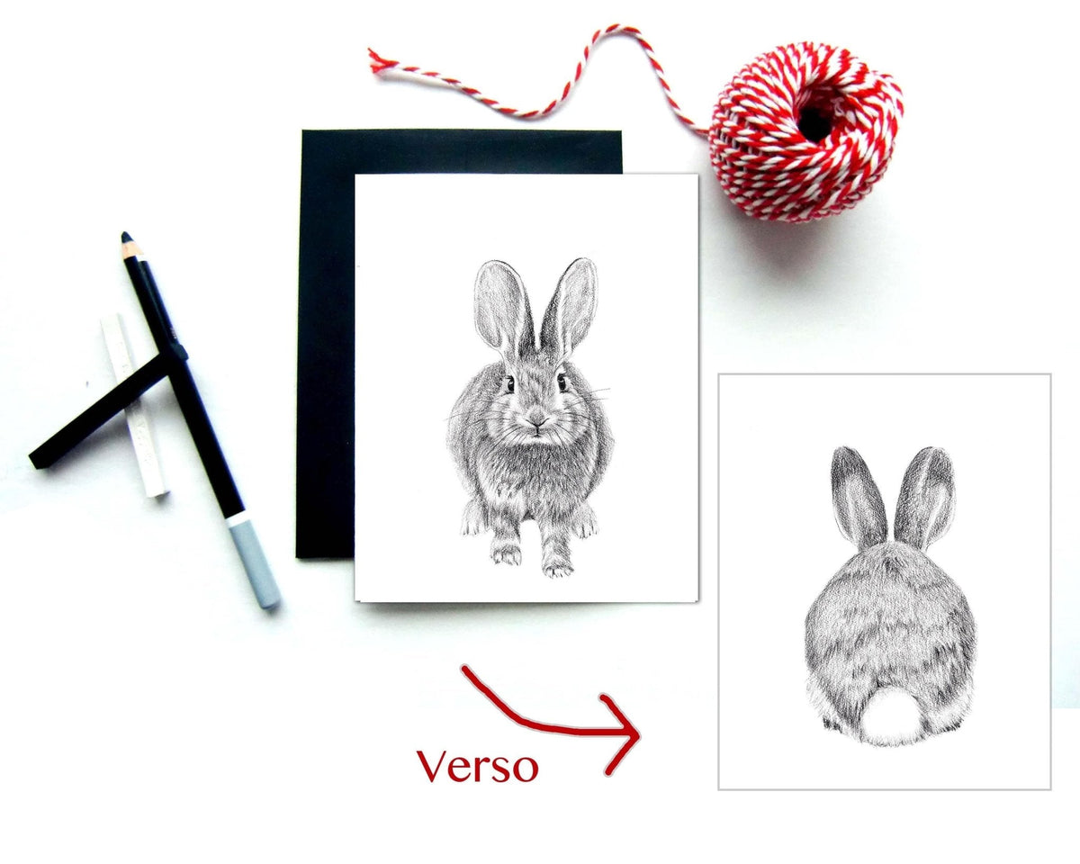 Rabbit Front and Back