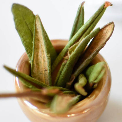 Labrador Tea (Rhododendron) Dried Whole Leaves |  Thé du Labrador | Feuille entière séchée
