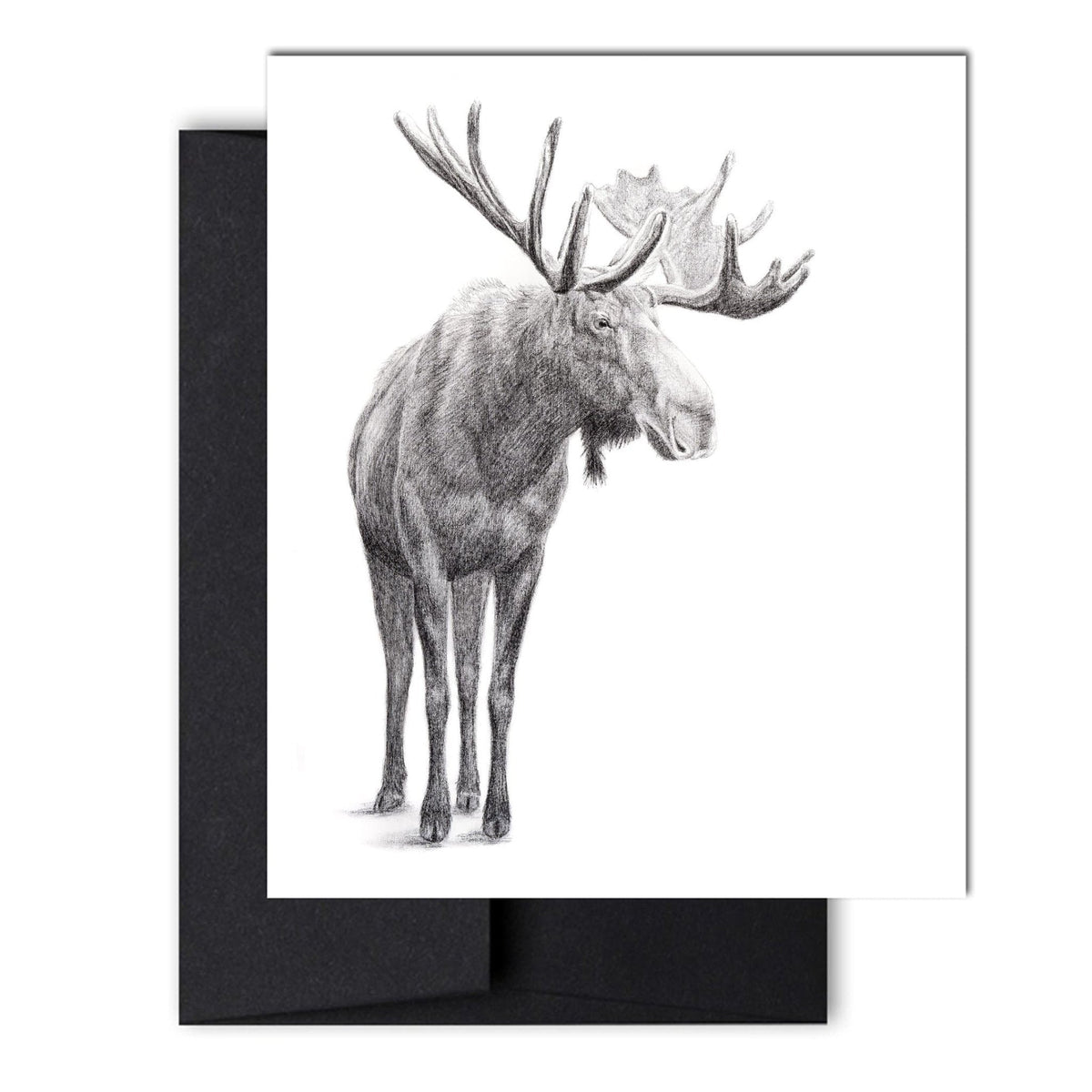 The Standing Moose
