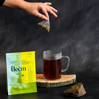 Aronia, Alder & Labrador Tea Bags | Tisane en sachets - Aronia, aulne & feuilles du Labrador