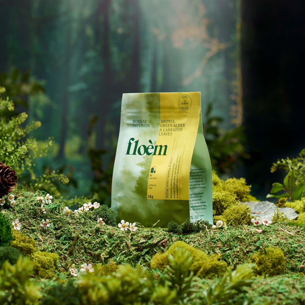 Aronia, Alder & Labrador Tea Bags | Tisane en sachets - Aronia, aulne & feuilles du Labrador