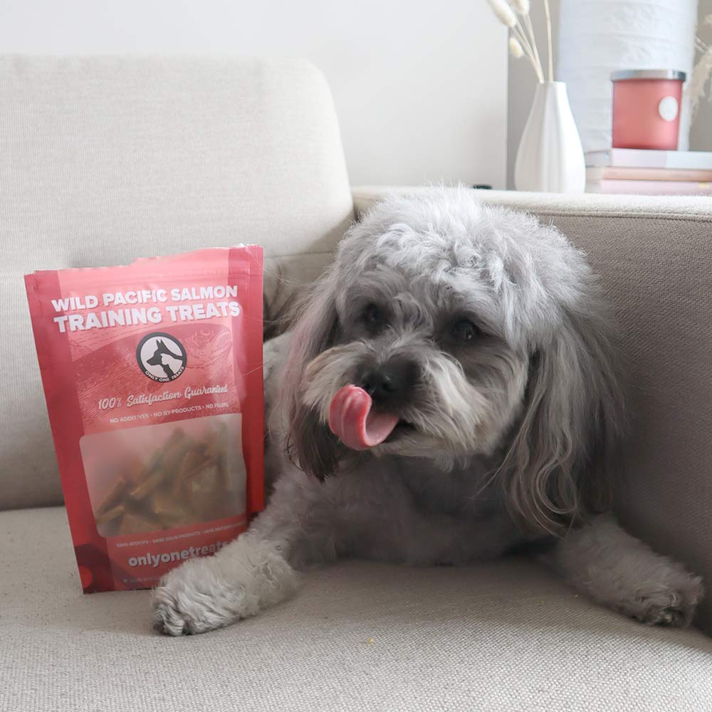 Pacific Salmon Training Treats 170g